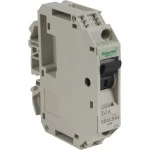 Schneider GB2CB06 Leistungsschalter TeSys für Steuerstromkreise, GB2-CB, 1A, 1p, 1d 