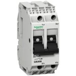 Schneider GB2DB05 Leistungsschalter TeSys für Steuerstromkreise, GB2-DB, 0,5A, 2p, 2d 