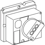 Schneider LV429337 Direkter Drehantrieb mit schwarzem Griff für ComPact NSX100-250 