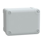 Schneider NSYTBS16128 PanelSeT TBS - ABS-Gehäuse mit undurchs. Abdeckung H20, H164xB121xT87mm, Schutzart IP66, IK07, RAL 7035 