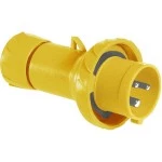 Schneider Electric PKX16M713 CEE Stecker Schneidklemmen 16A 2p+E 100-130 V AC IP67 