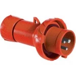 Schneider Electric PKX32M733 CEE Stecker Schneidklemmen 32A 2p+E 380-415 V AC IP67 