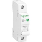 Schneider Electric R9F27140 Leitungsschutzschalter Resi9 1-polig 40A B-Charakteristik 10kA 