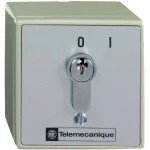Schneider XAPS11111N Steuergehäuse m. Profilzylinder, XAP-S, Schloss 