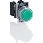Schneider XB4BP31 Drucktaster, Harmony XB4, Metall, 22mm, grün, vorstehend, unbeschriftet, tastend, mit Schutzkappe, 1S 