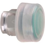 Schneider ZB4BP38 Drucktaster, Frontelement, Harmony XB4, Metall, 22mm, grün, unbeschriftet, tastend, mit Schutzkappe, für Einlegeschild 
