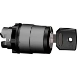 Schneider ZB5AG02 Schlüsselschalter, Frontelement, Harmony XB5, Kunststoff, 22mm, schwarz, 2 Stellungen, rastend 