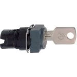 Schneider Electric ZB6CGB Frontelement für Schlüsselschalter ZB6 schwarz 2 Positionen 