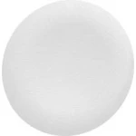 Schneider ZBAF1 Tastenschild für Frontelement flacher Einbau Ø 30mm in weiss 