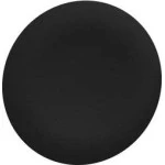 Schneider ZBAF2 Tastenschild für Frontelement flacher Einbau Ø 30mm in schwarz 