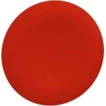 Schneider ZBAF4 Tastenschild für Frontelement flacher Einbau Ø 30mm in rot 