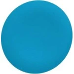Schneider ZBAF6 Tastenschild für Frontelement flacher Einbau Ø 30mm in blau 