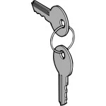 Schneider ZBG3131A Ersatzschlüssel f. Schlüsselschalter, 3131A, Verpackungseinheit: 2 Stck. 
