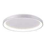 Deko-Light 348196 Deckenaufbauleuchte, Merope 800, 60 W, DIM, 3000/4000 K, Silber, 220-240 V/AC, 5 
