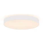 Deko-Light 348202 Decken- und Wandaufbauleuchte, Menkar 600 mm, 65 W, 3000/4000 K, Weiß, 220-240 V 