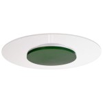 Deko-Light 620051 Deckenaufbauleuchte, Set, Zaniah 420 mm, 24 W, DIM, 3000 K, Cover Grün, 220-240 