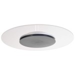 Deko-Light 620054 Deckenaufbauleuchte, Set, Zaniah 420 mm, 24 W, DIM, 3000 K, Cover Grau, 220-240 
