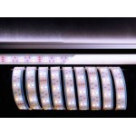 Deko-Light 621362 Flexibler LED Stripe 5050-2x30-12V-3000K 7000K 3 Meter 