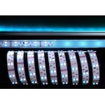 Deko-Light 840060 Flexibler LED Stripe 5050-2x30-12V-RGB+6500K 3 Meter 