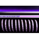 Deko-Light 840292 Flexibler LED Stripe 5050-60-24V-violett 