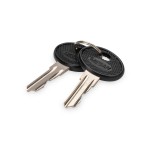 Digitus DN-19-KEY-4444 Schlüssel für DVR Wandgehäuse DN-DVR-1 