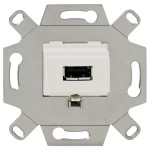 Rutenbeck 17010551 USB 2.0-Anschlussdose 1-fach mit 5 Schraubkontakten für handelsübliche TAE-Zentralstücke abbrechbarer Tragring für Stegversion 