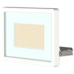 Theben 1020678 Energieeffizienter LED-Strahler 100 W mit umschaltbarer Farbtemperatur 3000/4000 K (Zubehör) 