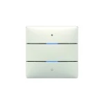 Theben 4800412 Tastsensor LUXORliving iON2 2 Tasten 