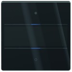 Theben 4804412 Glas-Tastsensor mit 2 Tasten, 2 mehrfarbigen Status-LEDs und integriertem Temperatursensor in schwarz 