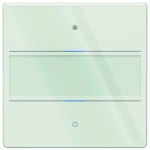Theben 4969282 KNX Glas-Tastsensor mit 2 Tasten, 2 Status-LEDs und integriertem Temperatursensor 