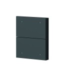 Theben 9080066 2-fach Wippe Metall schwarz (Zubehör) 