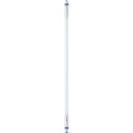 Philips MASLEDtube LED Tube T5 für EVG G5 1000lm 8W 563mm 3000K dimmbar 74323200 