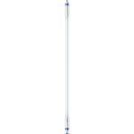 Philips MASLEDtube LED Tube T5 für EVG G5 2500lm 16,5W 1163mm 4000K dimmbar 74331700 