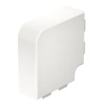 OBO Bettermann 6175678 Flachwinkelhaube halogenfr 60x150mm PC/ABS,rw WDKH-F60150RW 2Stk 