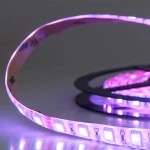 ISOLED 111914 LED SIL-RGB-Flexband, 24V, 14,4W, IP66 