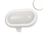 ISOLED 113044 LED Kellerleuchte, 10W, IP44 