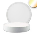 ISOLED 115497 LED Deckenleuchte PRO weiß, 24W, rund 