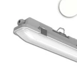 ISOLED 116389 LED Linear Wannen- und Sonderleuchten 