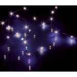 Hellum 570700 LED-Lichterkette Blankes Drahtkabel 100 x 650 x 20 mm kaltweiß 