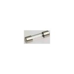 Eska 520.613 G-Sicherungseinsatz F 400mA 5x20mm 10 Stück 