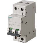 5SL6202-7 LS-Schalter C2A 2pol 