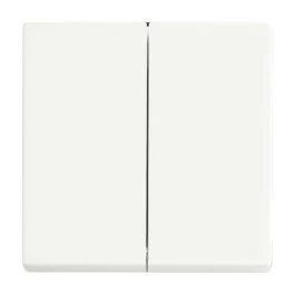 Interruptor Gangorra - Bluetooth - BUSCH-JAEGER - De Sobrepor