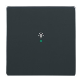 Busch Jaeger Future Linear Anthrazit Steckdosen/Schalter/UP/Rahmen Wählbar