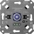 morepic-1