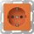 morepic-1