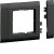morepic-1
