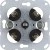 morepic-1