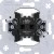 morepic-1