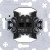 morepic-1