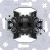 morepic-1